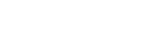 Netso Inc